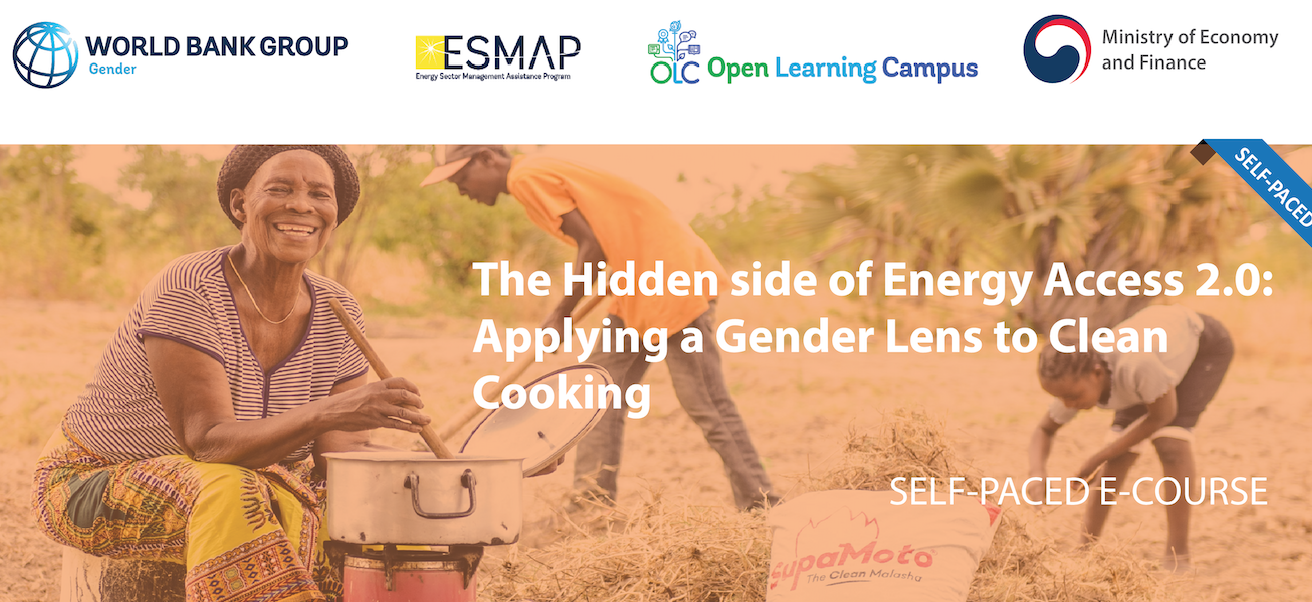 Self-paced e-Course | Applying a Gender Lens to Clean Cooking: The Hidden Side of Energy Access 2.0